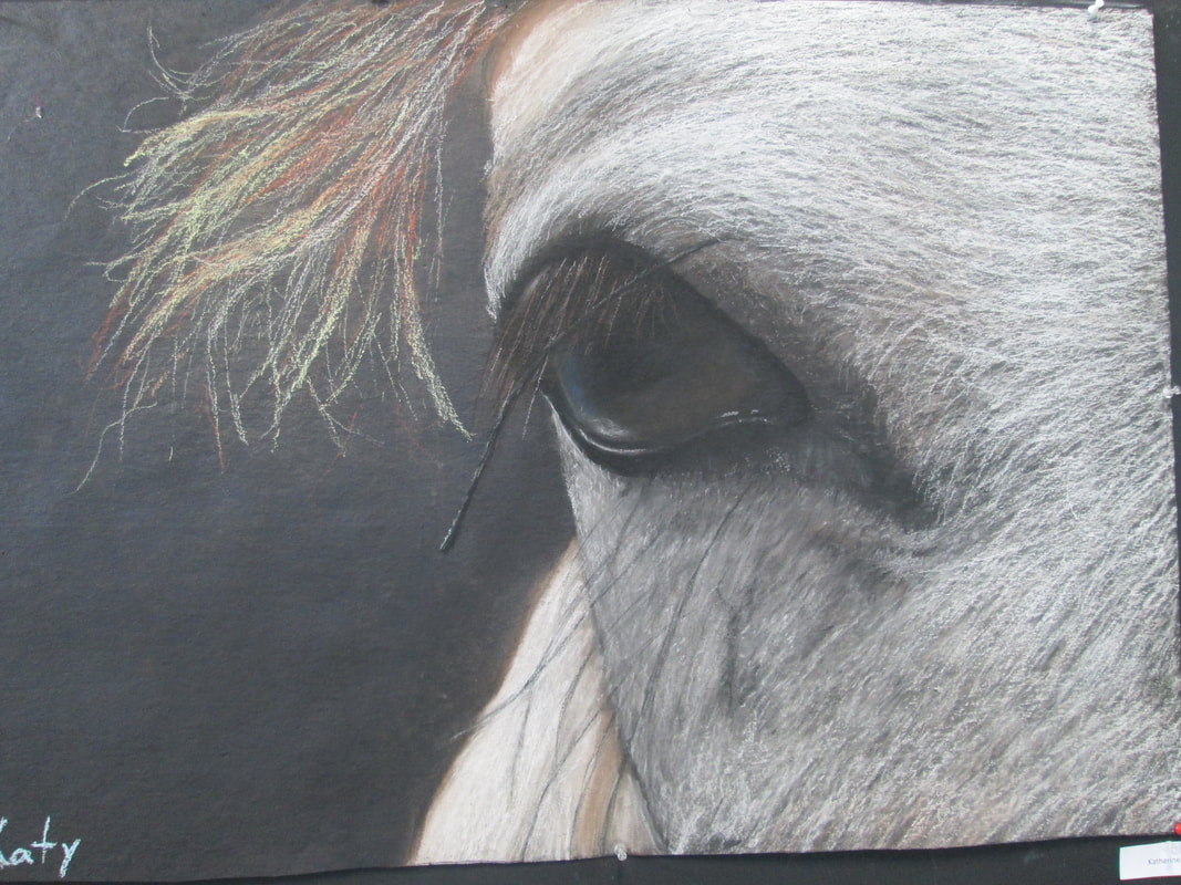 Horse Eye Drawing